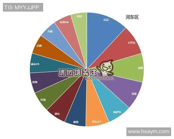 独家分析：武汉篮球队的团队协作对比